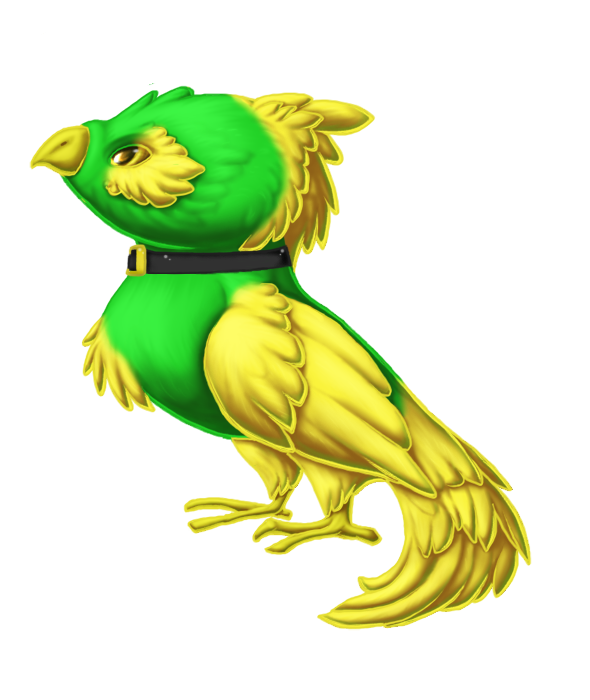 User Image